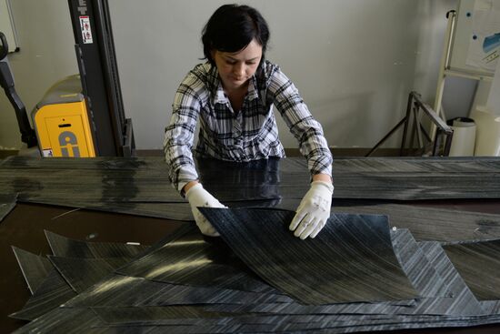 Chaplygin Siberian Aeronautical Research Institute