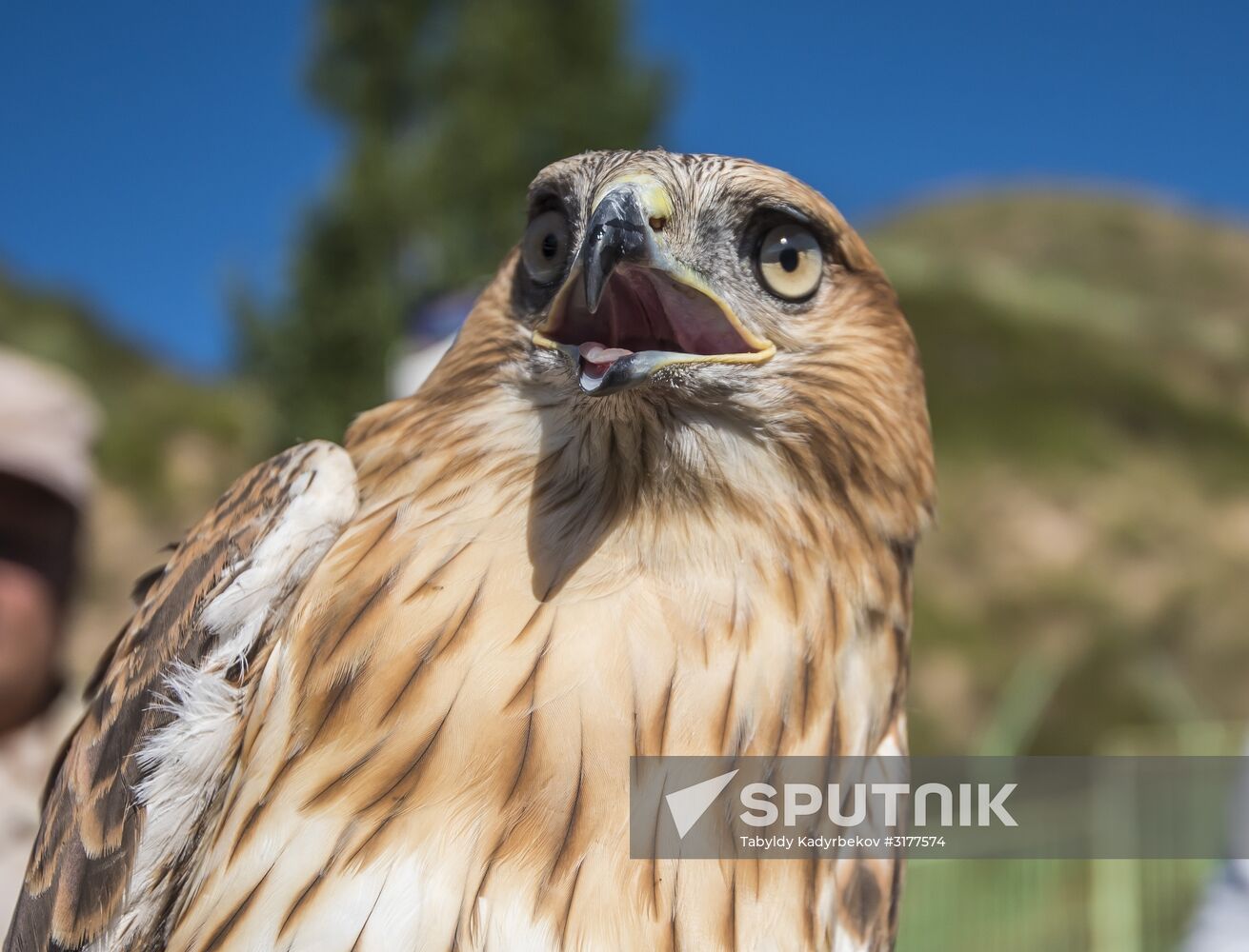 Rehabilitation center for wild animals in Kyrgyzstan