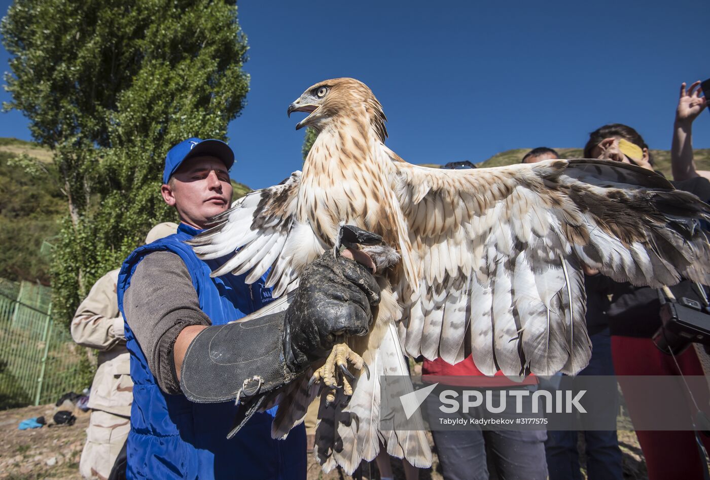 Rehabilitation center for wild animals in Kyrgyzstan