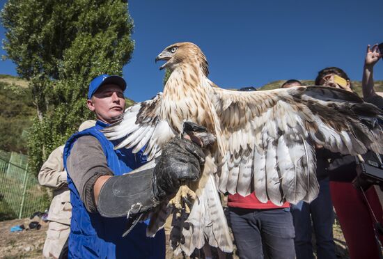 Rehabilitation center for wild animals in Kyrgyzstan