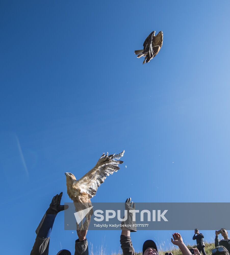 Rehabilitation center for wild animals in Kyrgyzstan