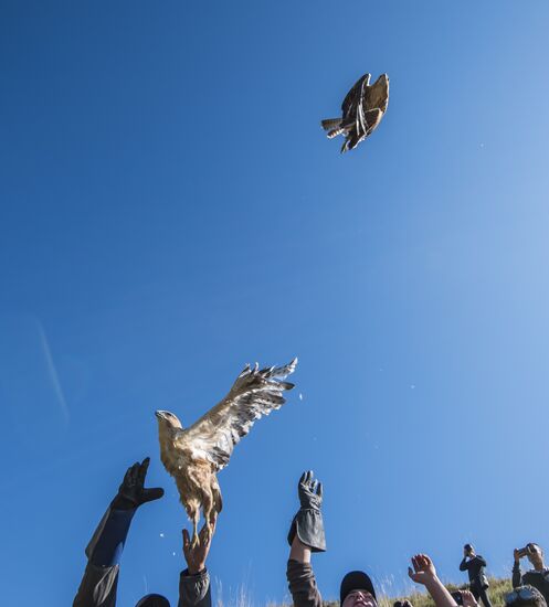 Rehabilitation center for wild animals in Kyrgyzstan