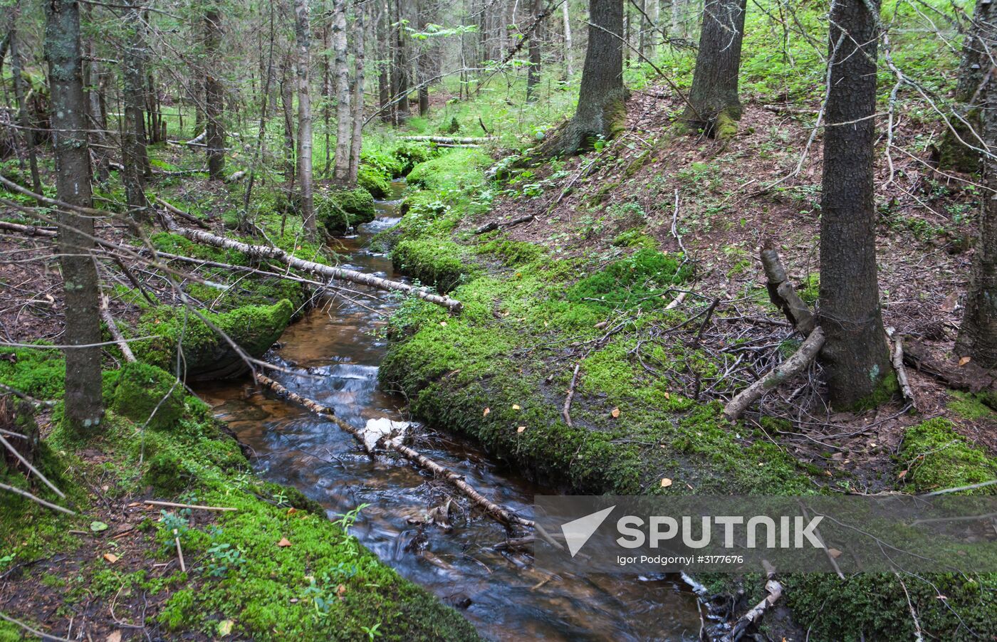 Vodlozero national park in Arkhangelsk Region