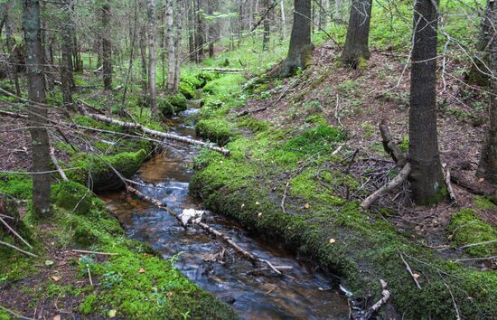 Vodlozero national park in Arkhangelsk Region