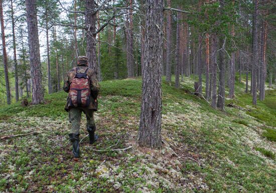 Vodlozero national park in Arkhangelsk Region