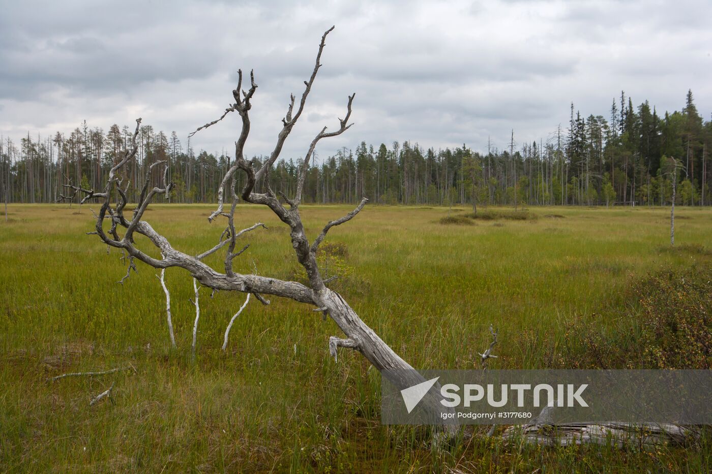 Vodlozero national park in Arkhangelsk Region