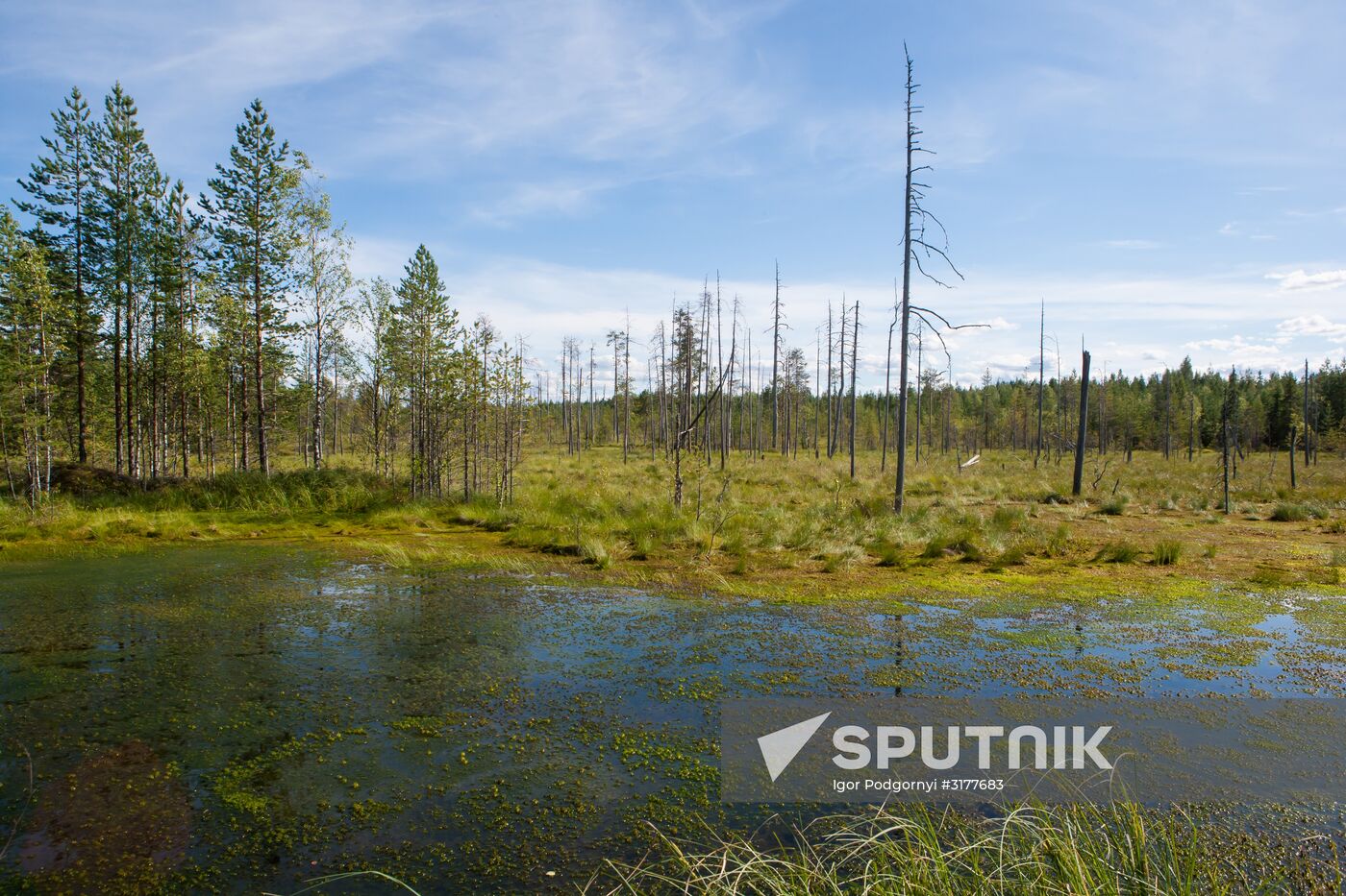 Vodlozero national park in Arkhangelsk Region