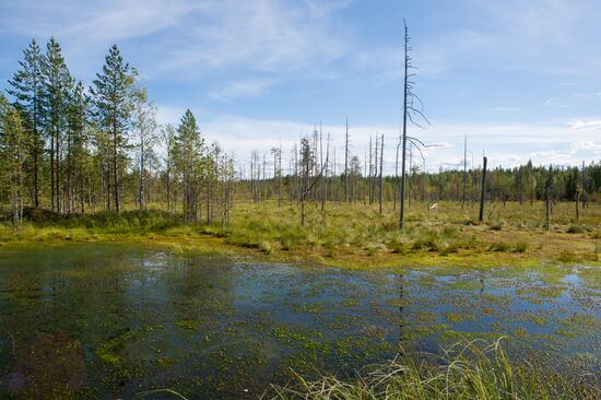 Vodlozero national park in Arkhangelsk Region