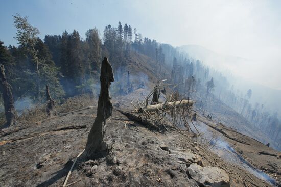 Aftermath of wildfires in Georgia
