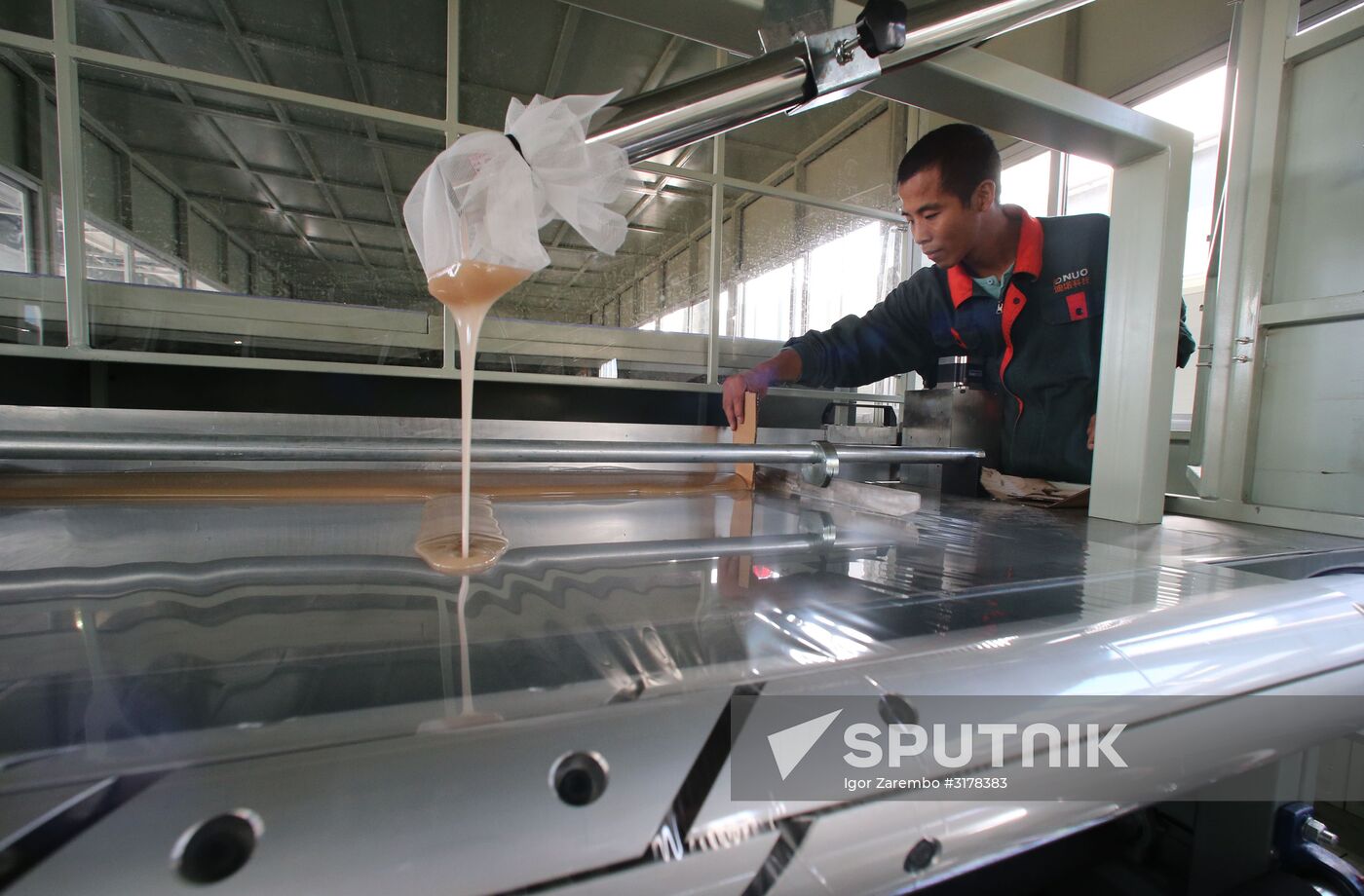 Composite construction materials plant in Kaliningrad