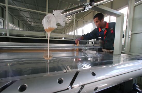 Composite construction materials plant in Kaliningrad