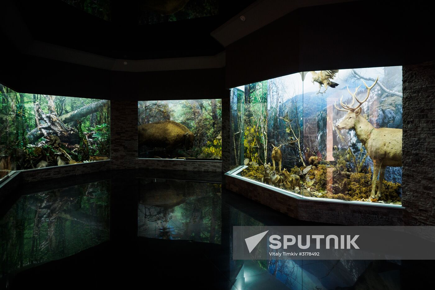 Russian cities. Maikop