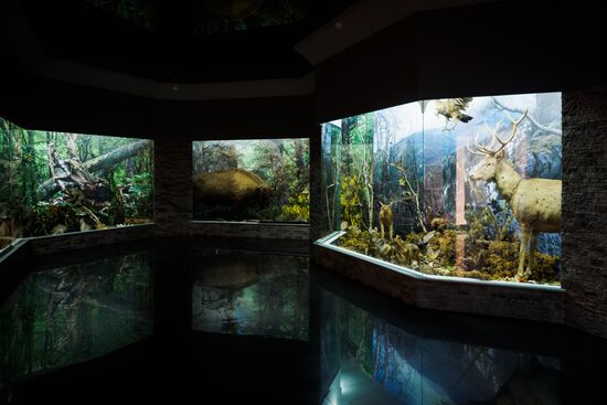 Russian cities. Maikop