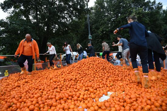 Mandarin Record