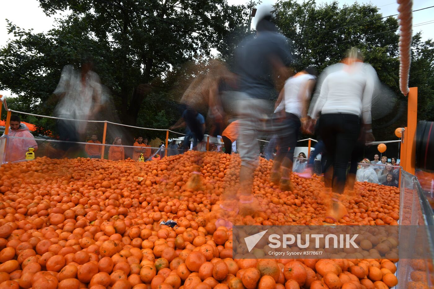 Mandarin Record