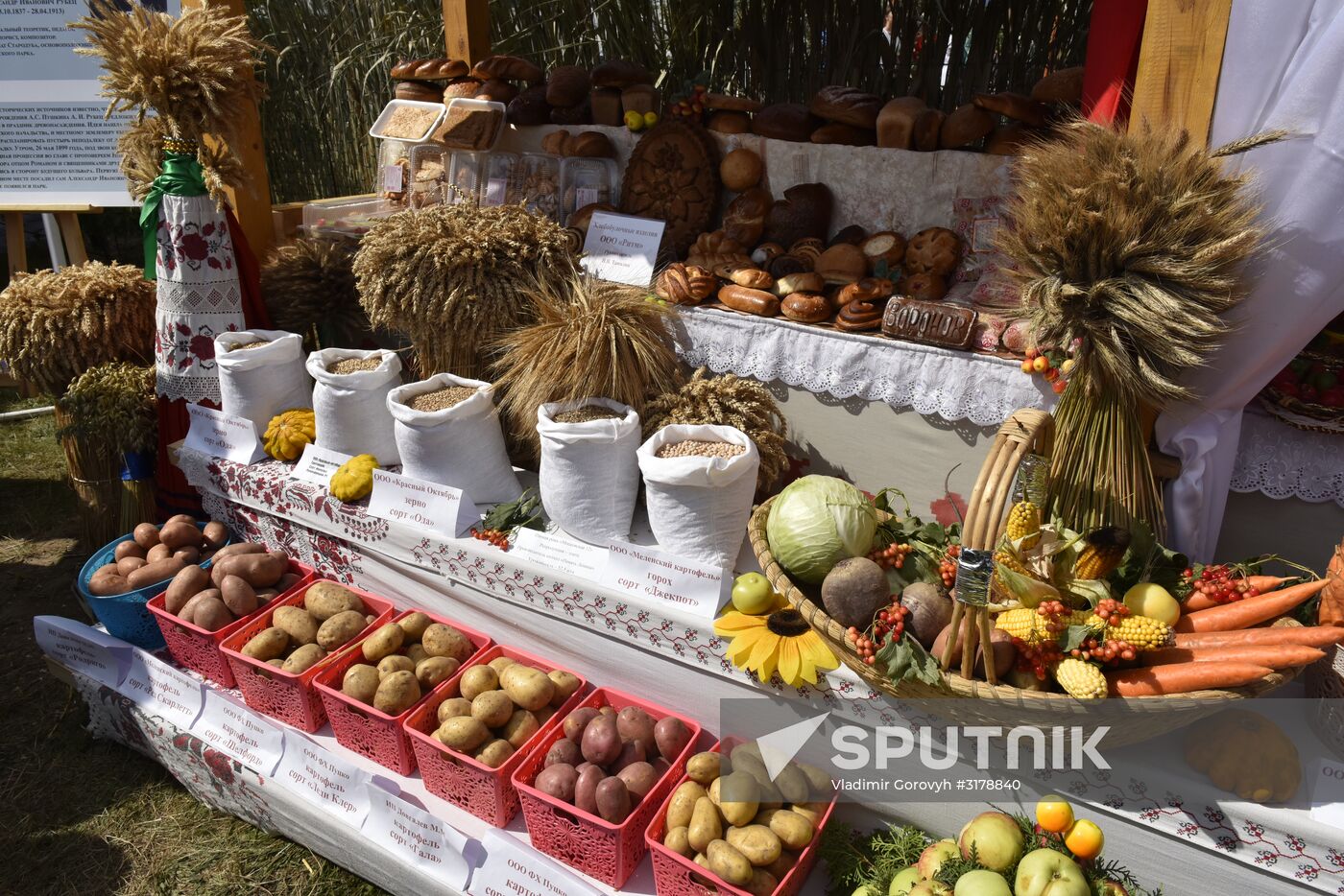 Svensk Fair in Bryansk