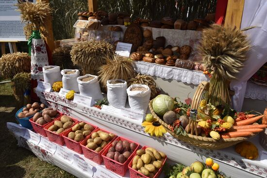 Svensk Fair in Bryansk