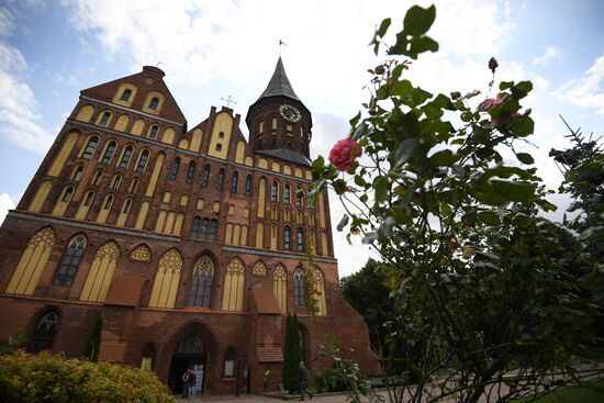 Russian cities. Kaliningrad