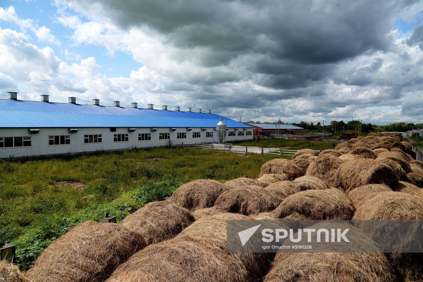 Farm in Khabarovsk Region