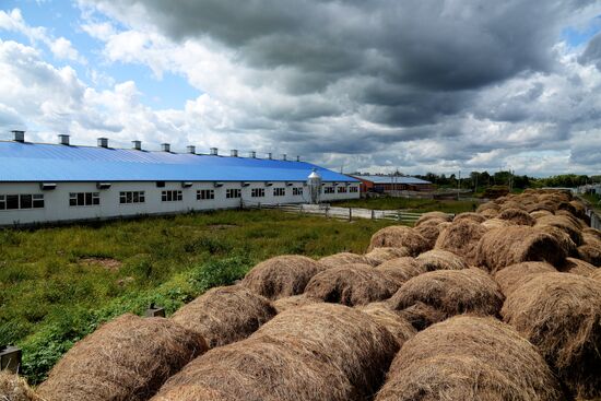 Farm in Khabarovsk Region