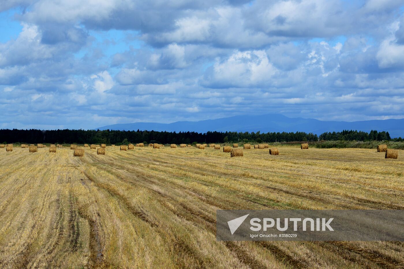 Farm in Khabarovsk Region