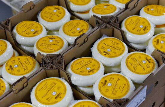 Cheese making at Umalat creamery, Bryansk Region