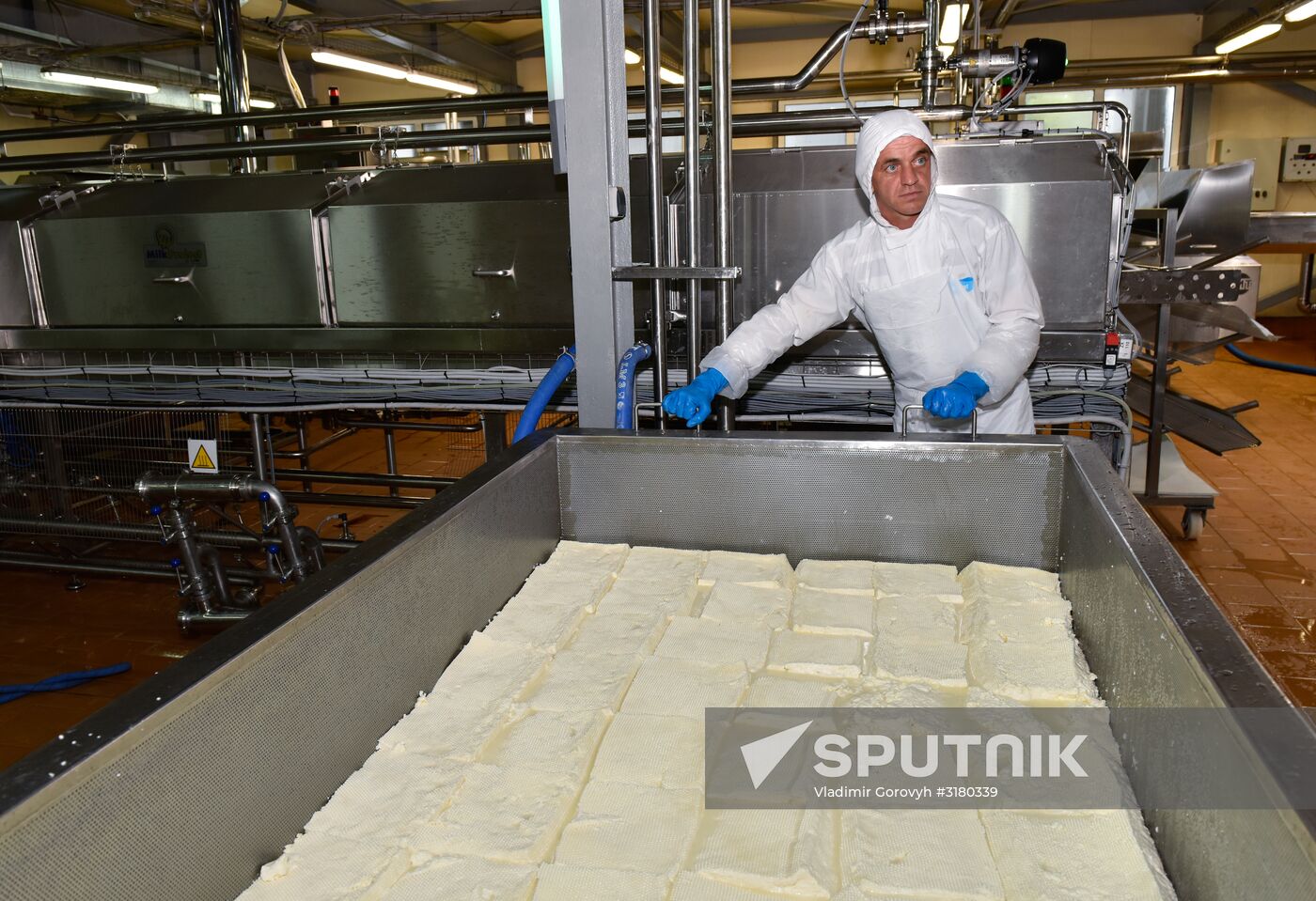 Cheese making at Umalat creamery, Bryansk Region