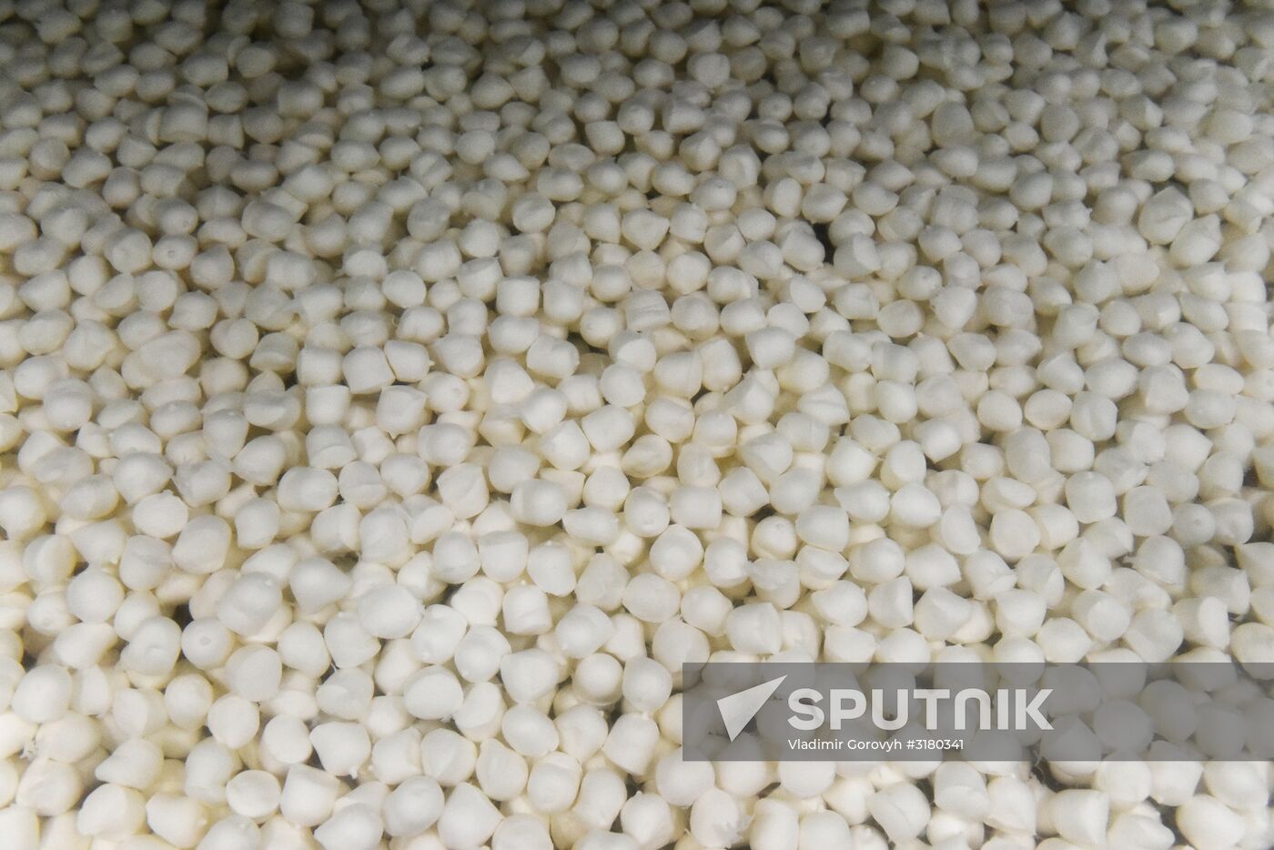 Cheese making at Umalat creamery, Bryansk Region