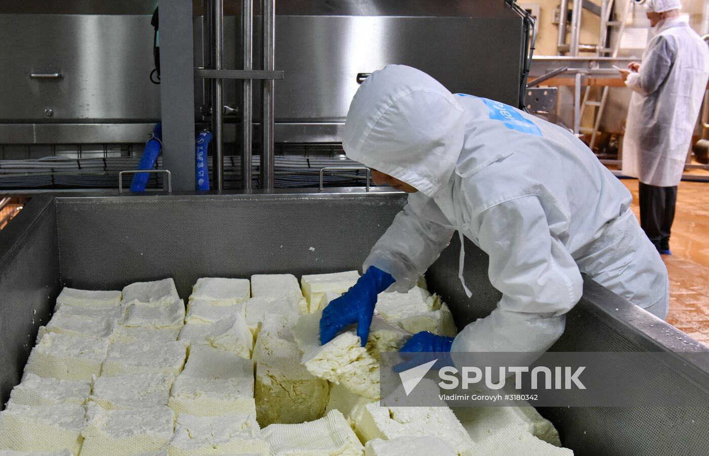 Cheese making at Umalat creamery, Bryansk Region