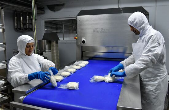 Cheese making at Umalat creamery, Bryansk Region