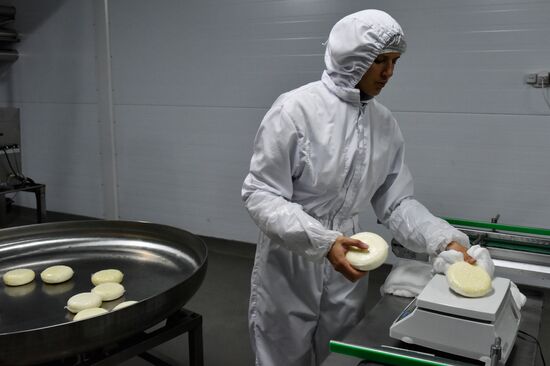 Cheese making at Umalat creamery, Bryansk Region