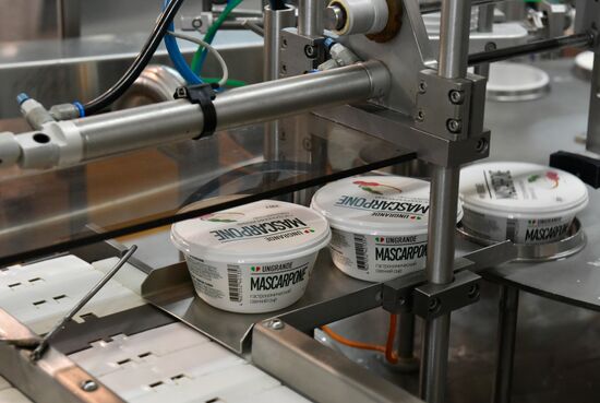 Cheese making at Umalat creamery, Bryansk Region
