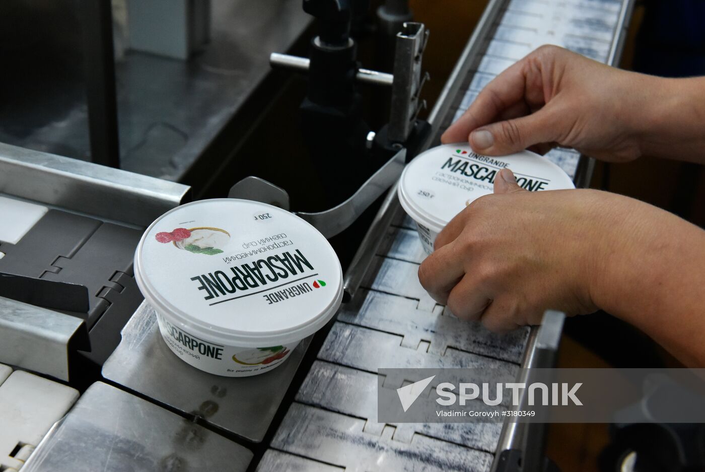 Cheese making at Umalat creamery, Bryansk Region