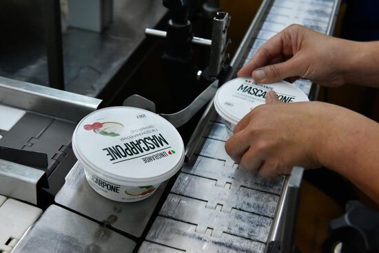 Cheese making at Umalat creamery, Bryansk Region