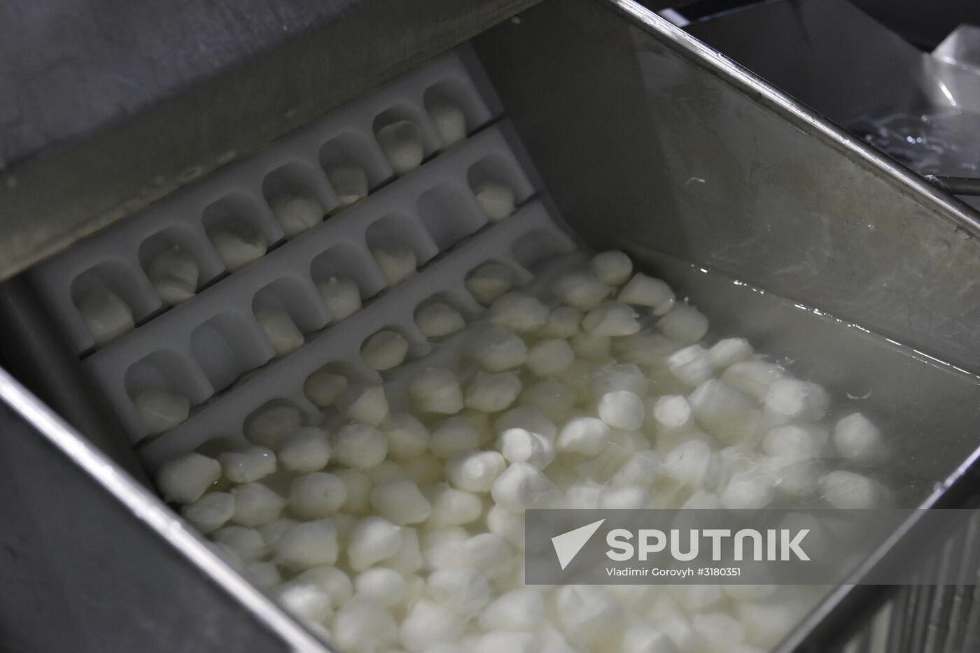 Cheese making at Umalat creamery, Bryansk Region