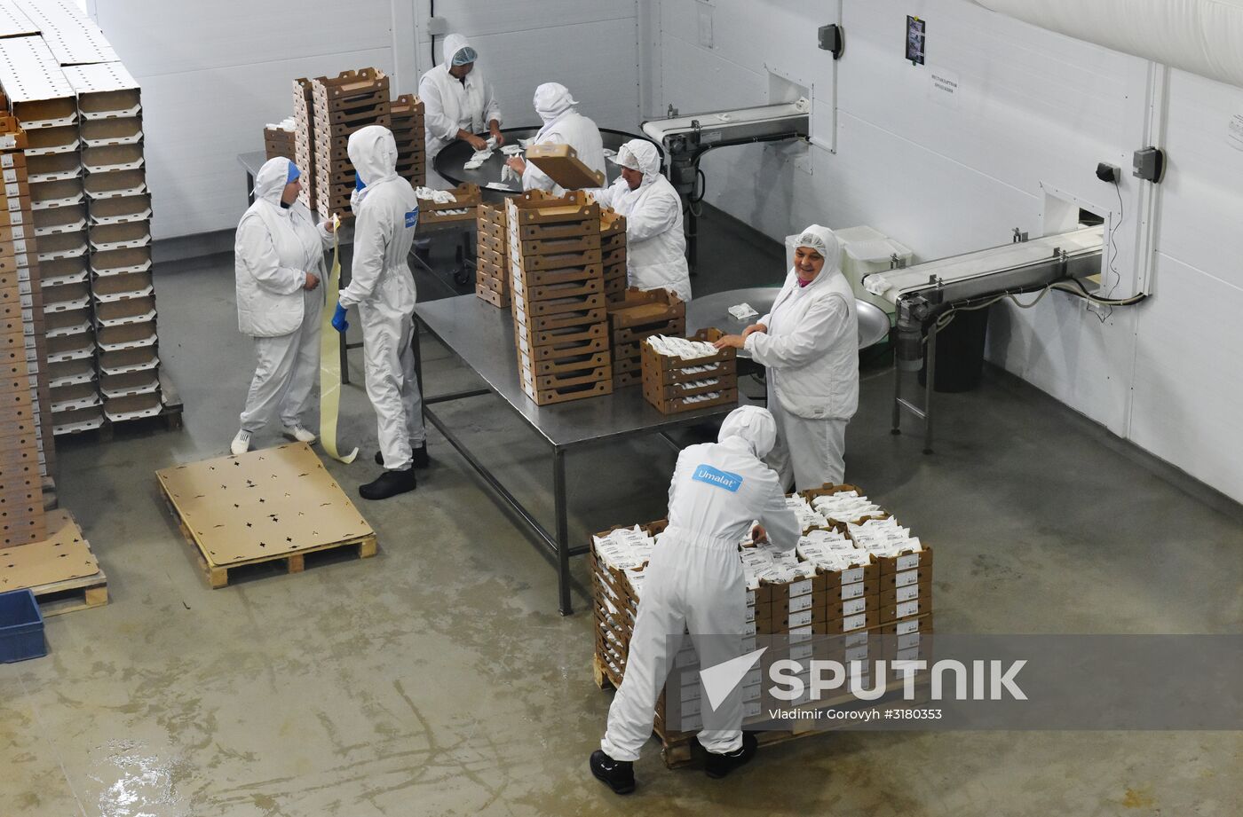 Cheese making at Umalat creamery, Bryansk Region