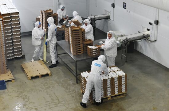 Cheese making at Umalat creamery, Bryansk Region