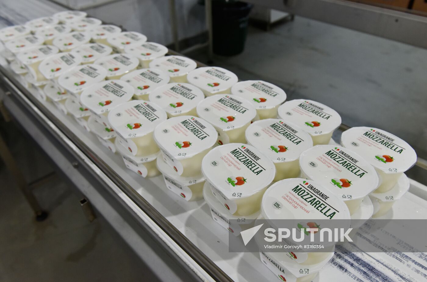 Cheese making at Umalat creamery, Bryansk Region