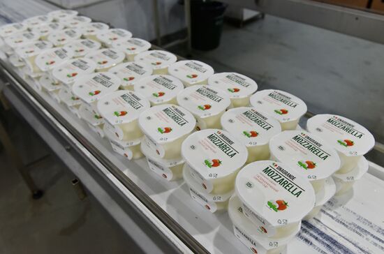 Cheese making at Umalat creamery, Bryansk Region