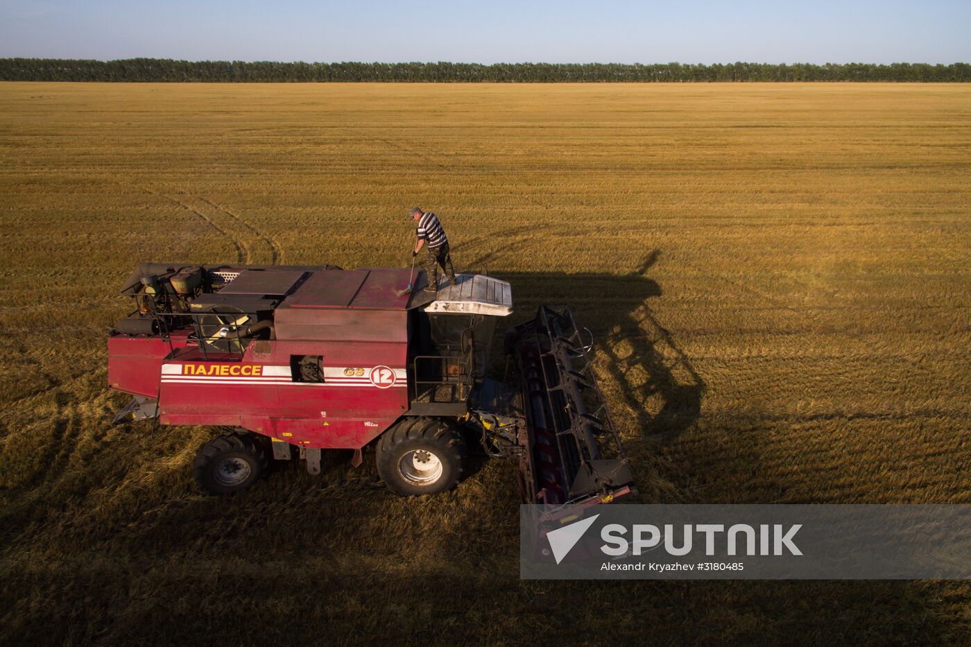 Harvesting grain in Novosibirsk Region