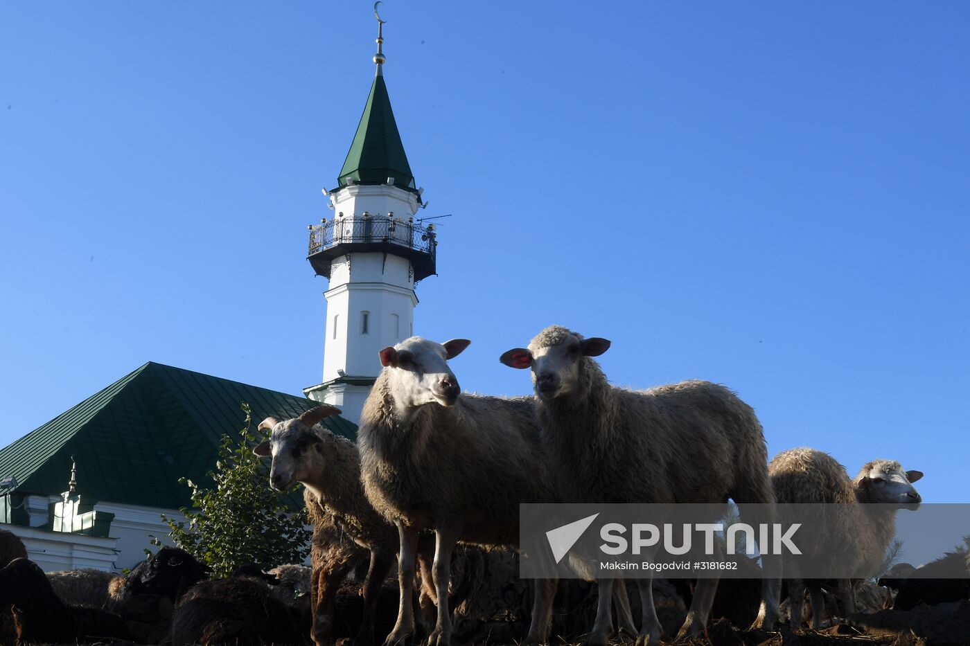 Eid al-Adha celebration in Russian regions