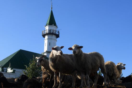 Eid al-Adha celebration in Russian regions