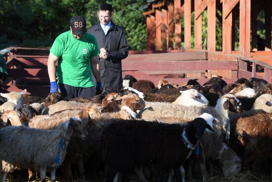 Eid al-Adha celebration in Russian regions