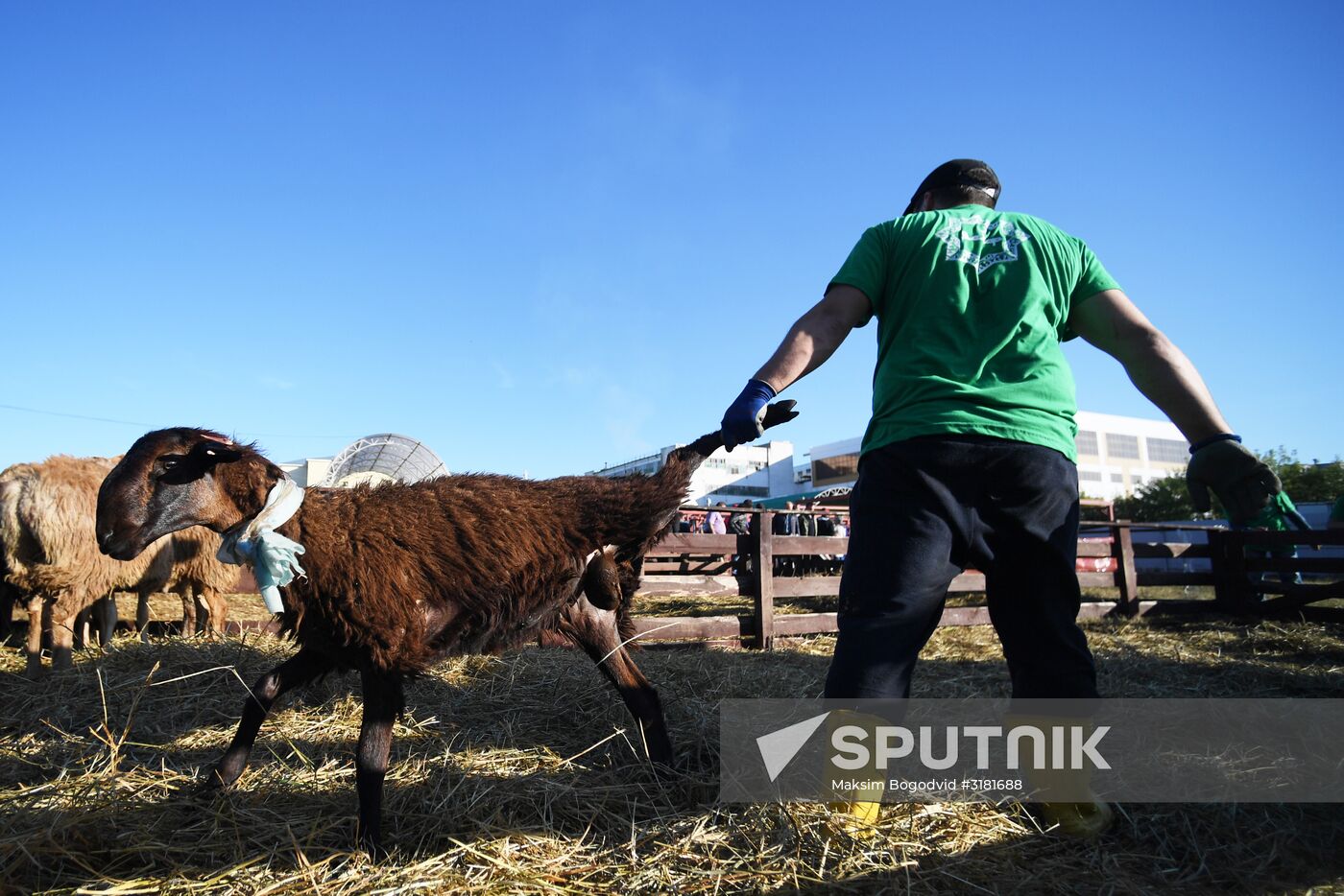 Eid al-Adha celebration in Russian regions