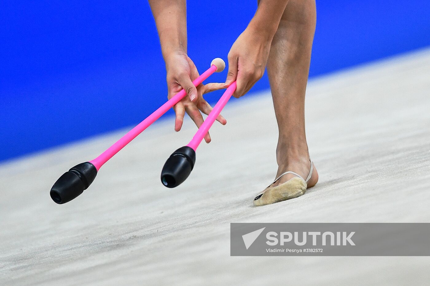 Rhythmic Gymnastics. World Championships. Day Three