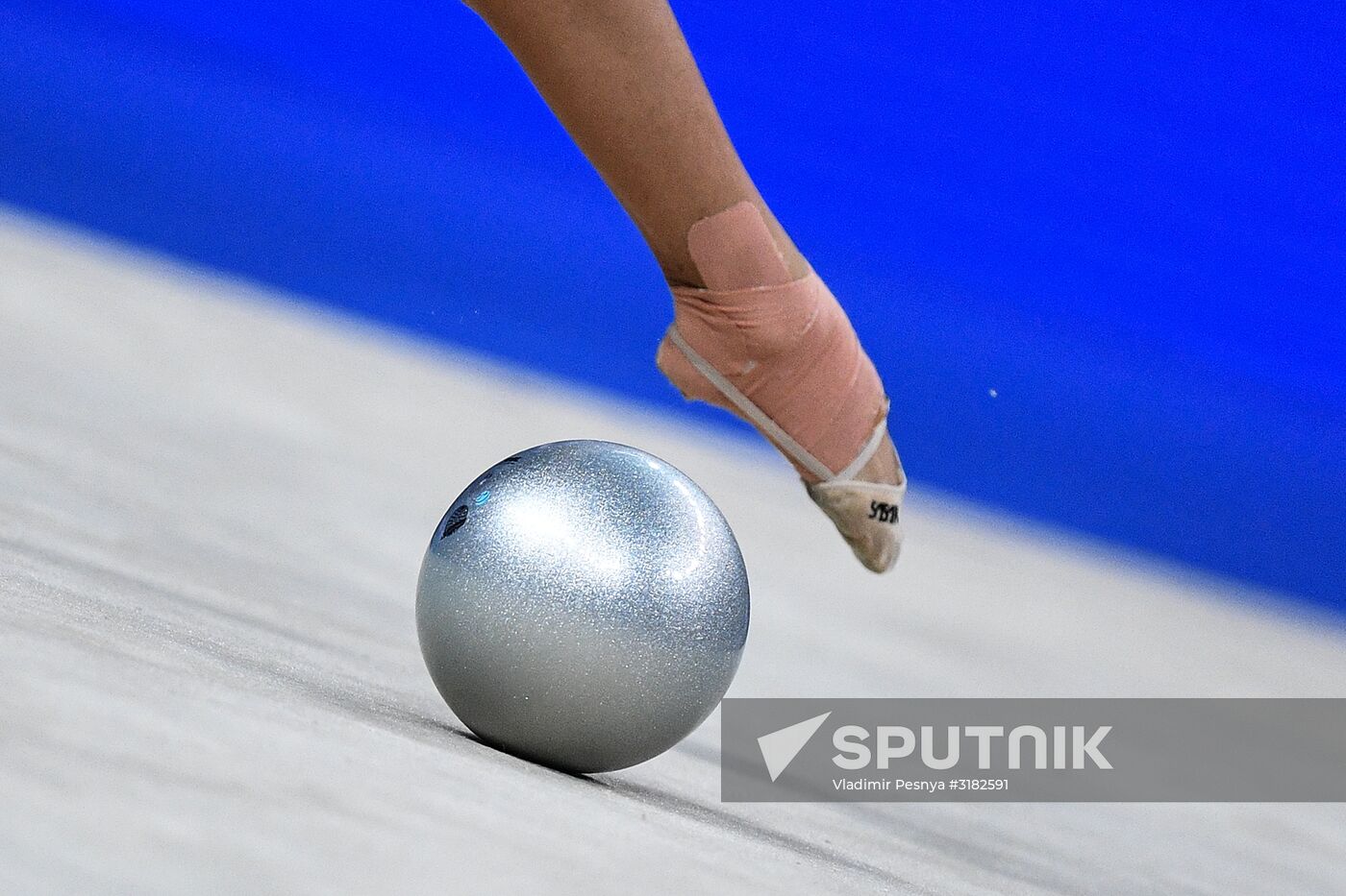 Rhythmic Gymnastics. World Championships. Day Three