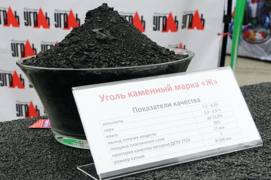 VDNKh DPR 2017 Exhibition in Lugansk