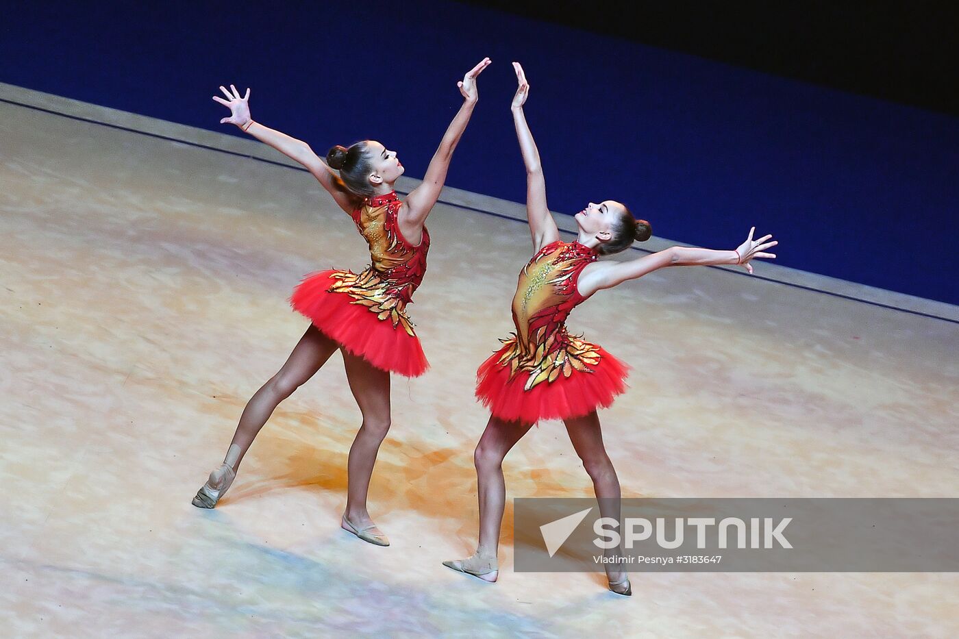 2017 World Rhythmic Gymnastics Championships. Exhibition gala