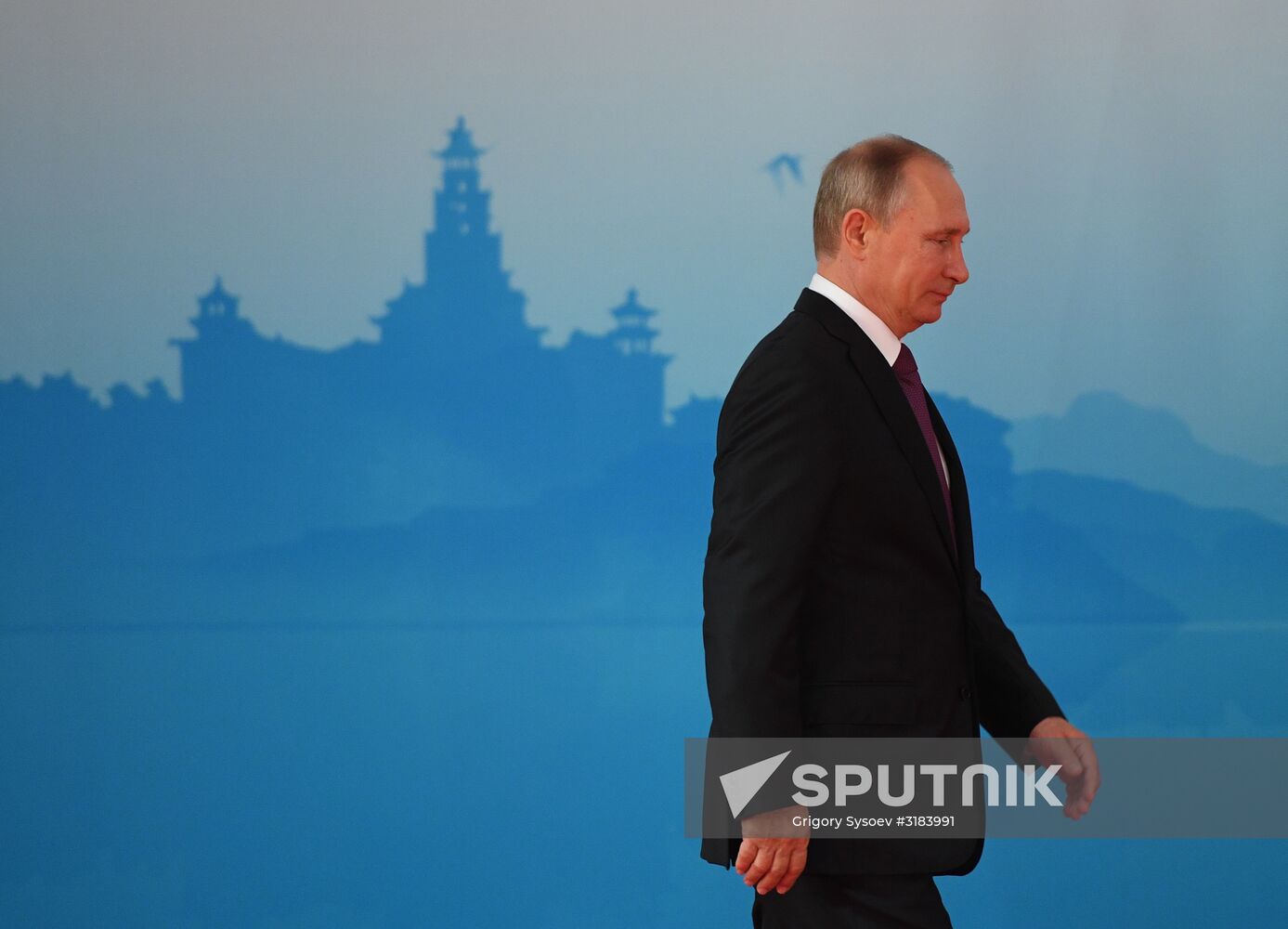 Russian President Vladimir Putin participates in BRICS summit