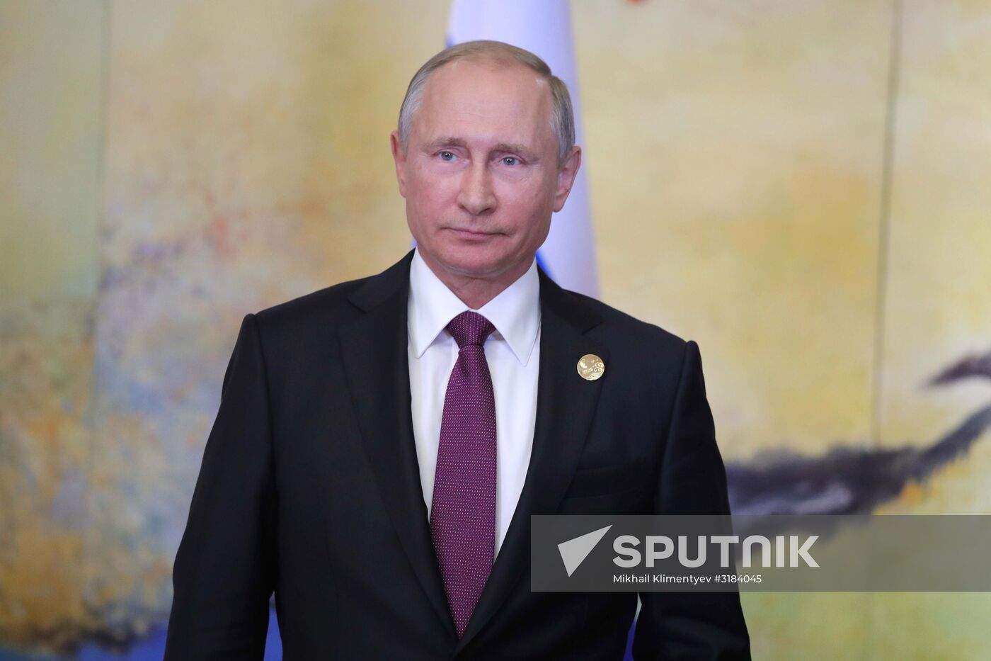 Russian President Vladimir Putin participates in BRICS summit